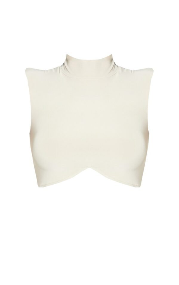 Shape Stone Slinky Sleeveless High Neck Crop Top